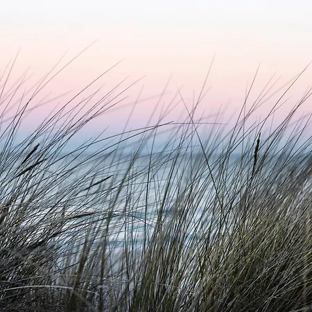 Safari Prora - Mit Sauna Und Direktem Strandzugang בינץ