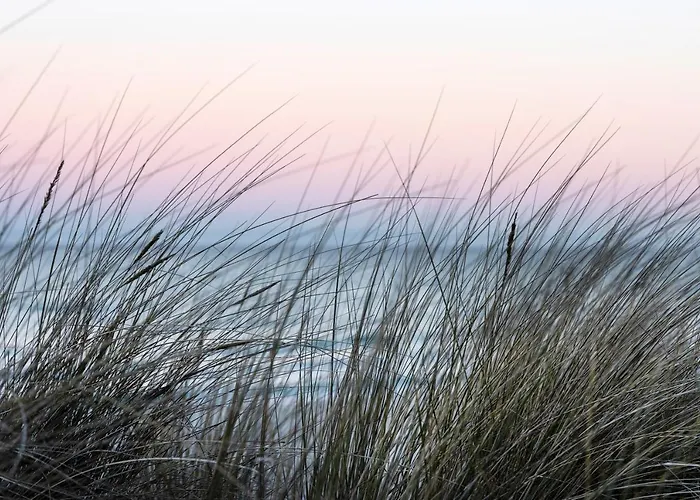 Safari Prora - Mit Sauna Und Direktem Strandzugang Binz
